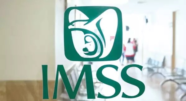 DIFUNDE IMSS CHIHUAHUA SERVICIOS DIGITALES Y TIPOS DE ASEGURAMIENTO EN EL MUNICIPIO DE AHUMADA