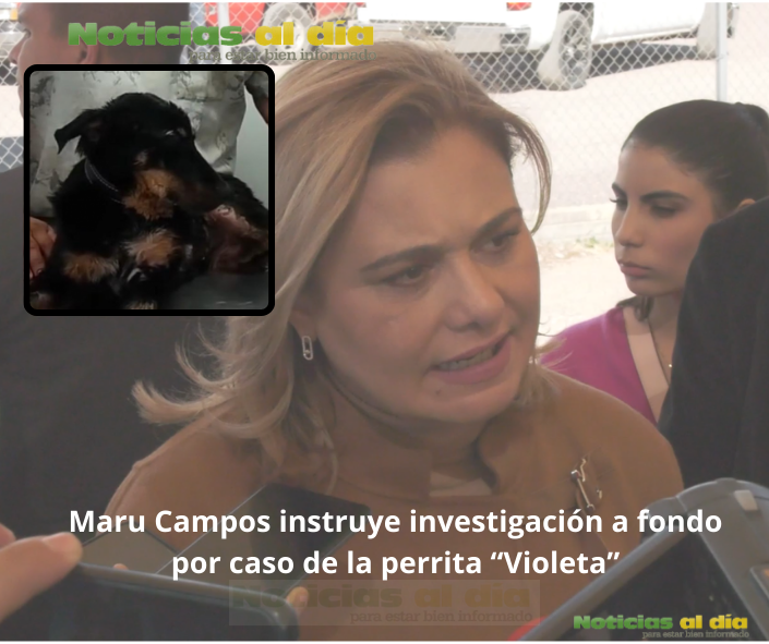 MARU CAMPOS INSTRUYE INVESTIGACIÓN A FONDO POR CASO DE LA PERRITA “VIOLETA”