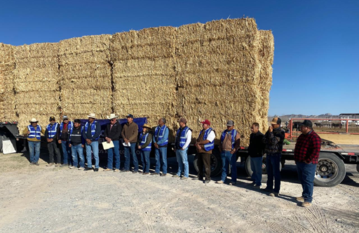 APOYA ESTADO A PRODUCTORES DE JUÁREZ CON MÁS DE 80 TONELADAS DE RASTROJO