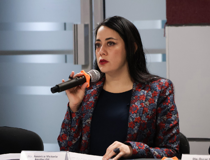 “NO ESTAMOS SOLAS”: AMÉRICA AGUILAR VS VIOLENCIA HACIA LA MUJER*