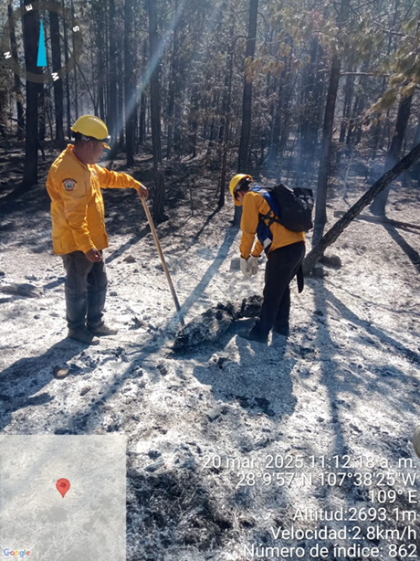 COMBATEN 381 BRIGADISTAS LOS 13 INCENDIOS FORESTALES ACTIVOS EN 8 MUNICIPIOS DEL ESTADO