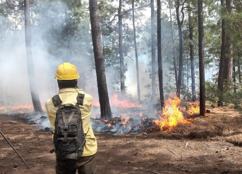 TRABAJAN 272 COMBATIENTES PARA ABATIR LOS SIETE INCENDIOS ACTIVOS EN LA ENTIDAD