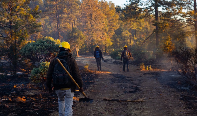 REGISTRA SDR CINCO INCENDIOS FORESTALES ACTIVOS EN LA ENTIDAD
