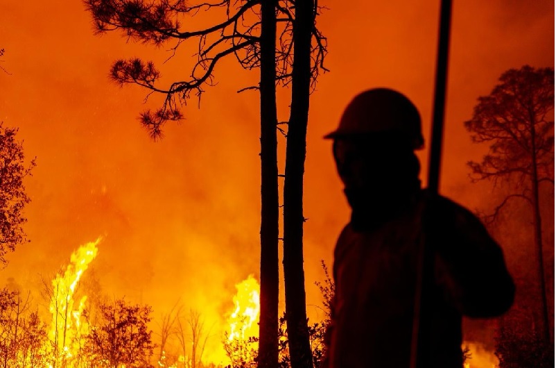 DESPLIEGAN A 224 COMBATIENTES PARA CONTROLAR 15 INCENDIOS FORESTALES ACTIVOS EN LA ENTIDAD