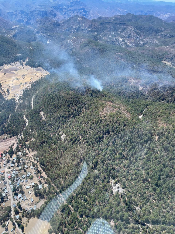GOBIERNO DEL ESTADO ATIENDE INCENDIOS EN OCAMPO Y REFUERZA ACCIONES PREVENTIVAS