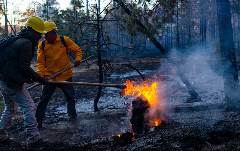 REFUERZAN COORDINACIÓN PARA COMBATIR INCENDIOS FORESTALES CON LA INSTALACIÓN DEL EQUIPO ESTATAL DE MANEJO DE INCIDENTES