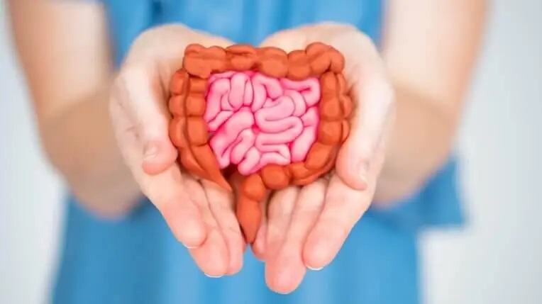 CUIDAR LOS INTESTINOS ES SINÓNIMO DE MEJOR SALUD