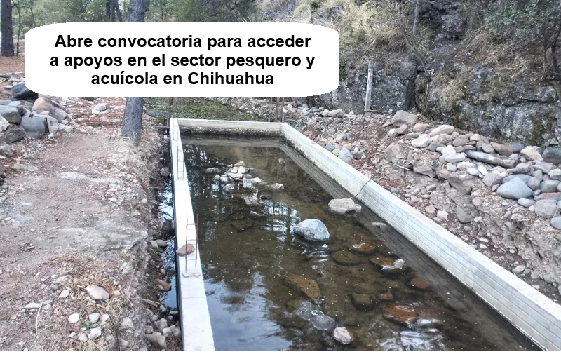 ABRE CONVOCATORIA PARA ACCEDER A APOYOS EN EL SECTOR PESQUERO Y ACUÍCOLA EN CHIHUAHUA