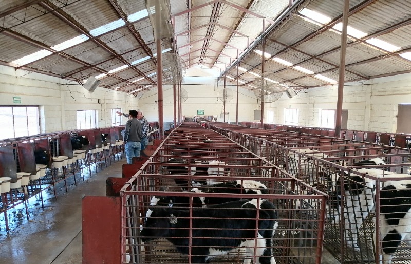 FORTALECE CHIHUAHUA LA SANIDAD AGROPECUARIA CON INVERSIÓN CONJUNTA SUPERIOR A 415 MILLONES DE PESOS