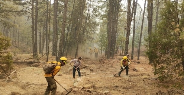 SE INTEGRAN 30 BRIGADISTAS DE OTROS ESTADOS AL COMBATE DE INCENDIOS FORESTALES EN CHIHUAHUA