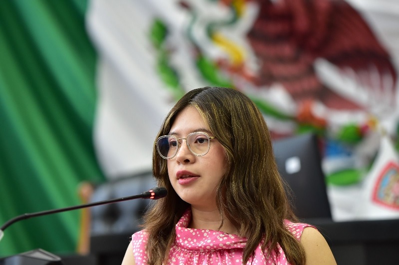 BUSCA DIPUTADA JAEL ARGU?ELLES PROTEGER EL ESPACIO PÚBLICO DE LA PUBLICIDAD INVASIVA