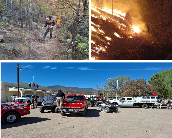 REPORTA SDR 10 INCENDIOS FORESTALES ACTIVOS EN EL ESTADO