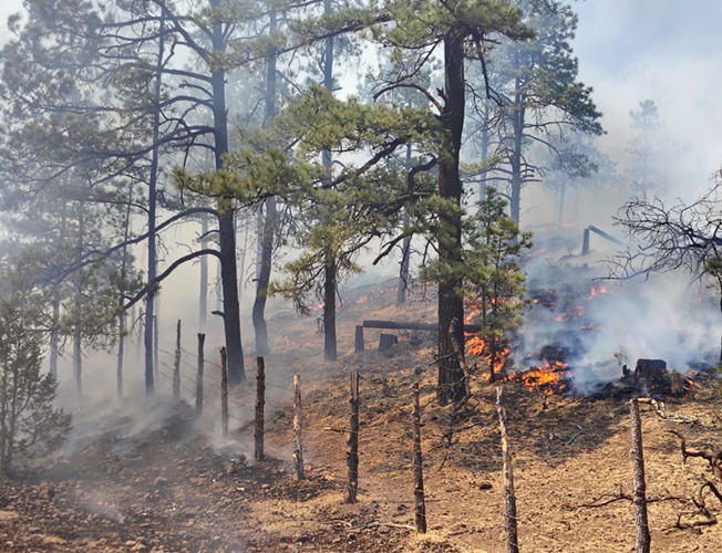 *REPORTA SDR 11 INCENDIOS FORESTALES ACTIVOS EN CHIHUAHUA ESTE SÁBADO*