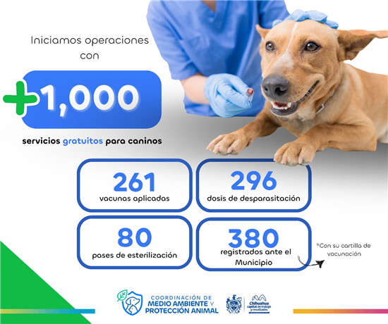 OFRECIÓ GOBIERNO MUNICIPAL MÁS DE MIL SERVICIOS GRATUITOS PARA CANINOS