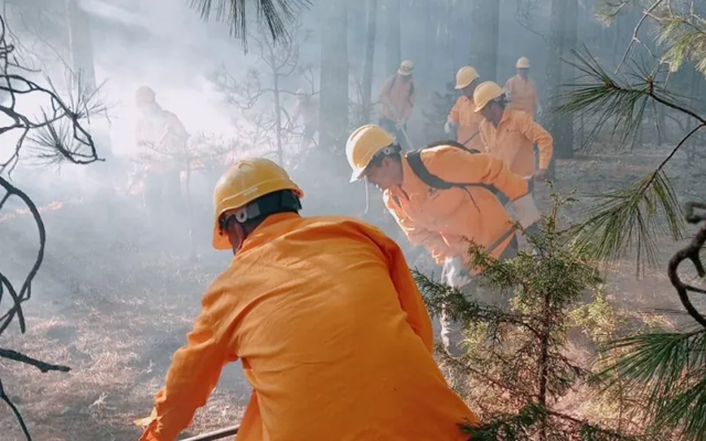 LIQUIDAN BRIGADISTAS TRES INCENDIOS FORESTALES