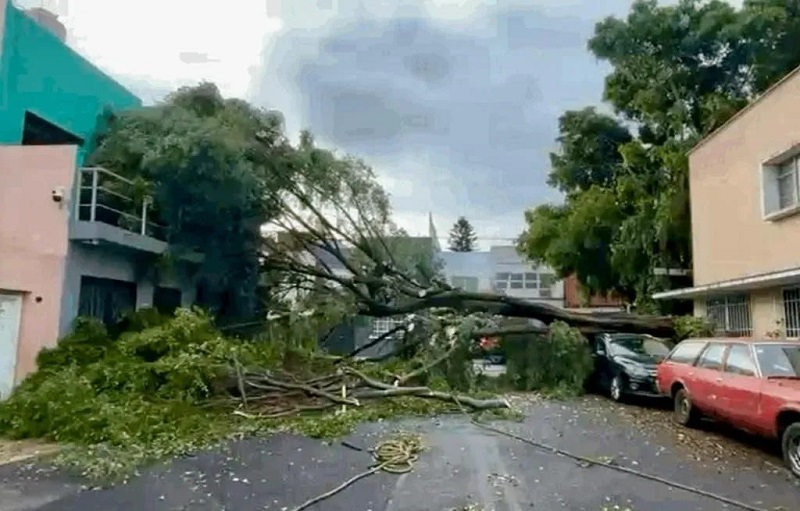 EN CDMX, LAS LLUVIAS, DE NUEVA CUENTA, HICIERON ESTRAGOS