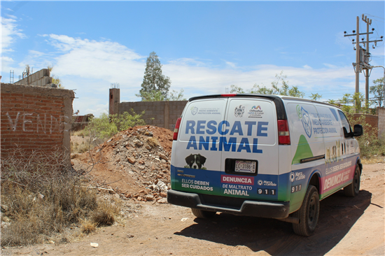 RESCATA MUNICIPIO A DOS CANINOS ABANDONADOS EN LA COLONIA SIERRA AZUL