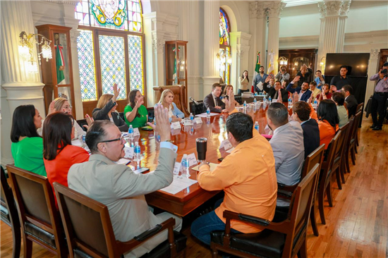 APRUEBAN CABILDO REFORMAS A LINEAMIENTOS SOBRE LA FIGURA DEL OBSERVADOR CIUDADANO