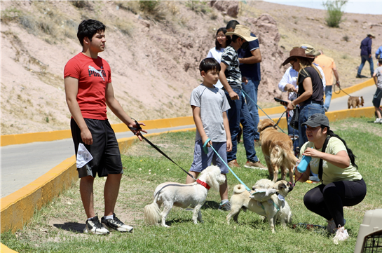 EXHORTA GOBIERNO MUNICIPAL A CUIDAR A LAS MASCOTAS EN TEMPORADA DE CALOR Y LLUVIAS