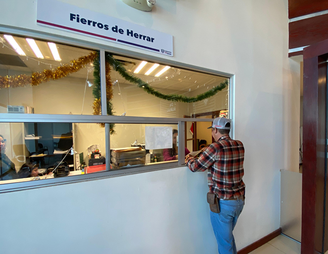 EXTIENDE GOBIERNO DEL ESTADO PLAZO PARA REVALIDACIÓN DE FIERROS DE HERRAR HASTA DICIEMBRE DE 2025