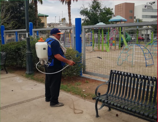 FUMIGA MUNICIPIO ESPACIOS PÚBLICOS PARA EVITAR ANIMALES PONZOÑOSOS Y PLAGAS