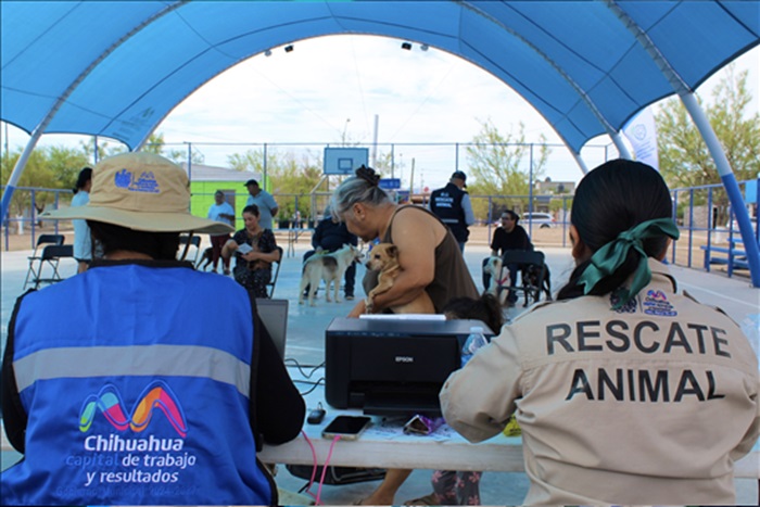 BRINDÓ GOBIERNO MUNICIPAL MIL 800 SERVICIOS GRATUITOS PARA MASCOTAS EN UN MES