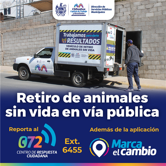 MUNICIPIO OFRECE SERVICIO DE RETIRO DE ANIMALES SIN VIDA EN LA VÍA PÚBLICA