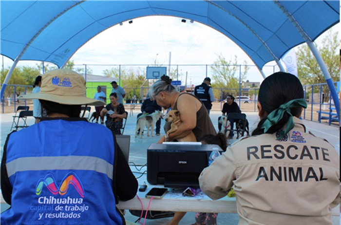 BRINDÓ GOBIERNO MUNICIPAL MIL 800 SERVICIOS GRATUITOS PARA MASCOTAS EN UN MES