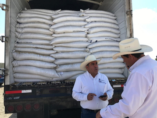 ENTREGA GOBIERNO DEL ESTADO 14 TONELADAS DE SEMILLA DE AVENA A PRODUCTORES DE LA ZONA SUR