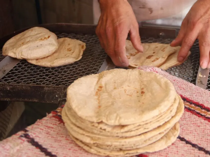 ¡BUSCAN BAJAR EL PRECIO DE LA TORTILLA! ESTA ES LA PROPUESTA