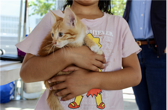 EXHORTA MUNICIPIO A PREVENIR LA RICKETTSIA CON CUIDADO RESPONSABLE DE MASCOTAS