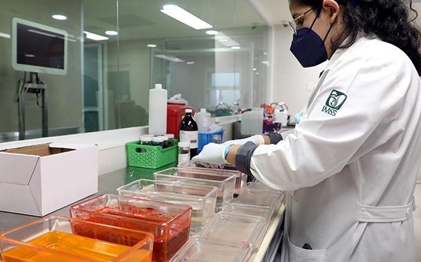 DIAGNÓSTICO OPORTUNO Y ATENCIÓN MULTIDISCIPLINARIA, CLAVES EN EL TRATAMIENTO EXITOSO DEL SARCOMA