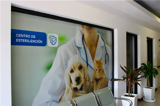 ABRE GOBIERNO MUNICIPAL, CENTRO DE ESTERILIZACIÓN PERMANENTE PARA MASCOTAS