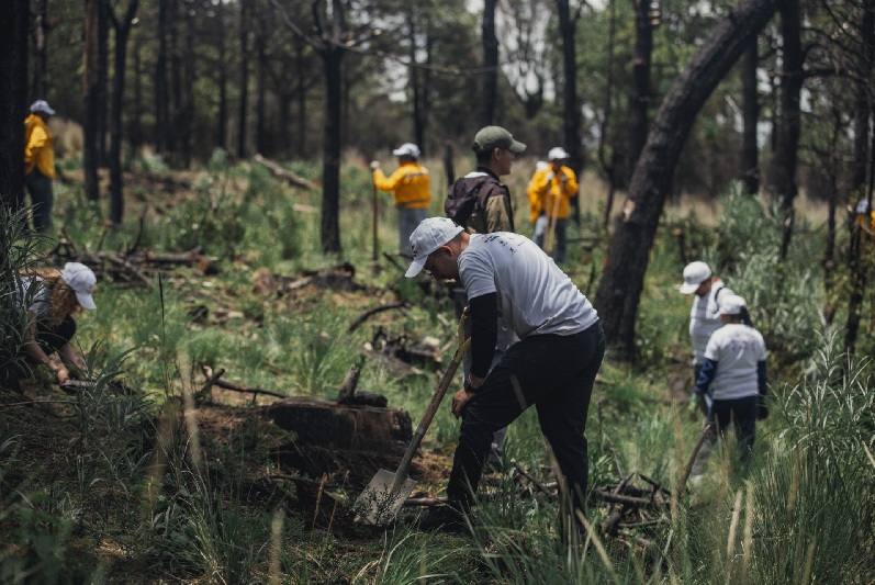 SÚPER COPA ROSHFRANS EN COLABORACIÓN CON EL GOBIERNO DE CHIHUAHUA, REALIZARÁ CAMPAÑA DE REFORESTACIÒN