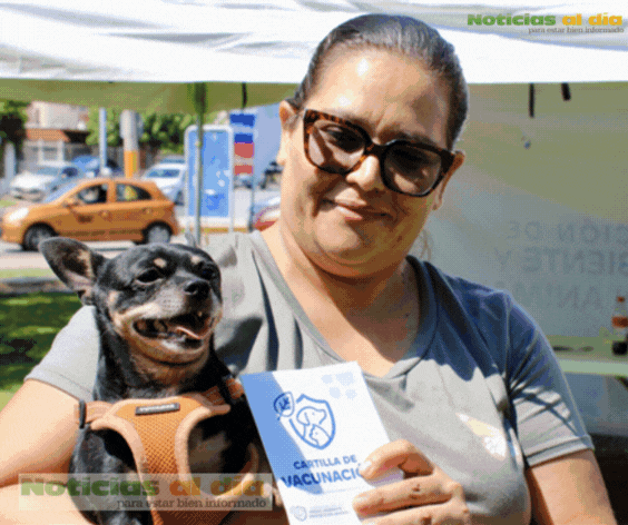 MICRO, UN PERRITO PROTEGIDO GRACIAS A LOS SERVICIOS PARA MASCOTAS QUE OFRECE MUNICIPIO