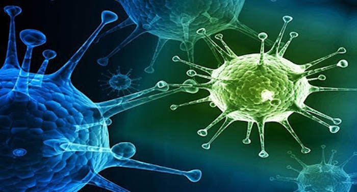  ALCOHOL Y DROGAS MERMAN LA PRODUCCIÓN DE NEURONAS NUEVAS
