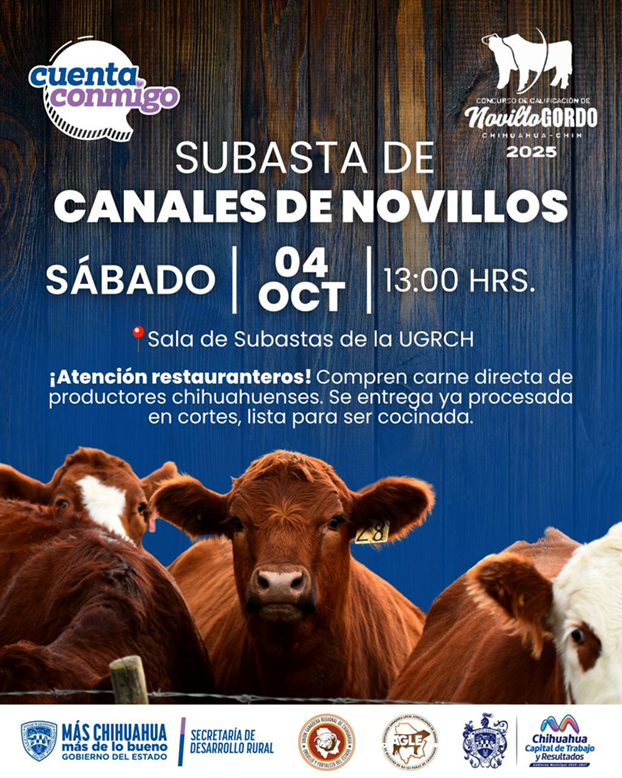 CHIHUAHUA IMPULSA EL CONSUMO LOCAL DE CARNE DE CALIDAD CON SUBASTA DE CANALES DE NOVILLO GORDO