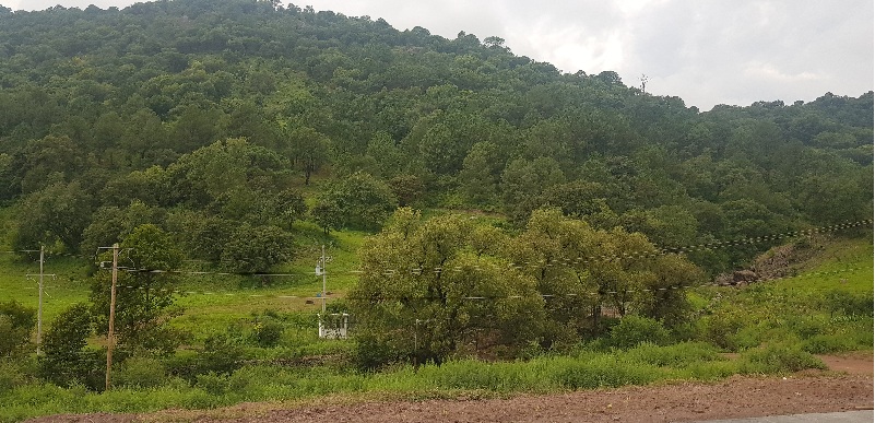 PROVOCARÁN FRENTES FRÍOS 8 Y 9 DESCENSO DE TEMPERATURA EN LA SIERRA TARAHUMARA