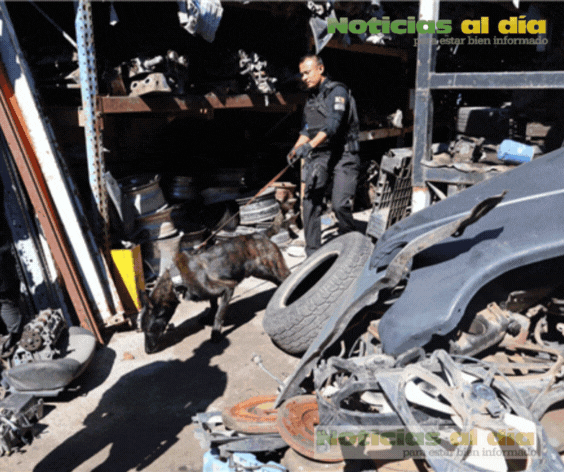 IMPLEMENTAN OPERATIVO EN YONKES PARA EVITAR VENTA DE AUTOPARTES ROBADAS