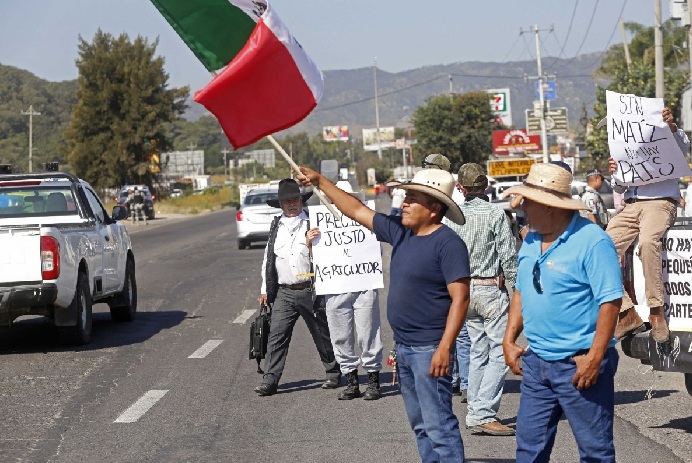 PRODUCTORES DE MAÍZ CALIFICAN COMO INSULTO OFERTA DEL GOBIERNO