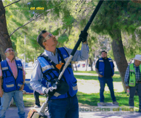 ATIENDE MARCO BONILLA PARQUE PLATANITO; SUPERVISA LABORES DE MANTENIMIENTO