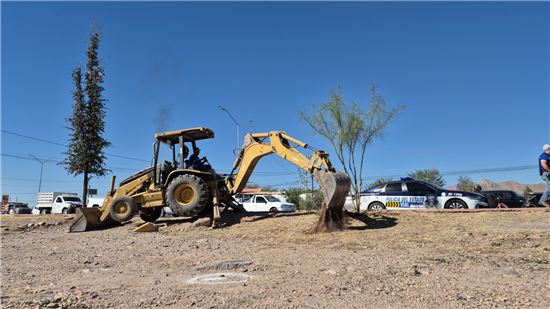 REUBICA MUNICIPIO ÁRBOLES EN ZONA DE CONSTRUCCIÓN DEL PASO SUPERIOR FUERZA AÉREA Y CARRETERA ALDAMA