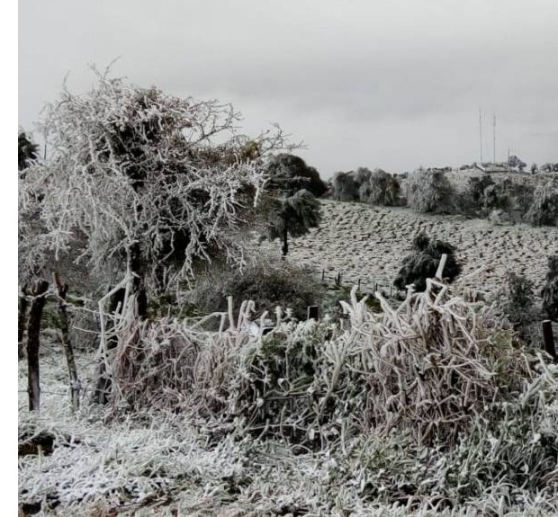 ESTOS ESTADOS AMANECERÁN CON -10 GRADOS