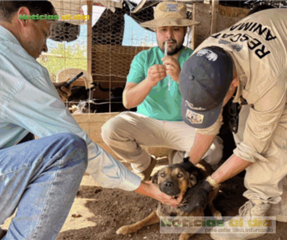 BRINDA MUNICIPIO APOYO CONTINUO A REFUGIOS Y RESCATISTAS PARA FORTALECER LA PROTECCIÓN ANIMAL
