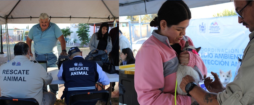LLEVA MUNICIPIO SERVICIOS GRATUITOS A LA COLONIA INSURGENTES PARA CUIDAR LA SALUD DE PERROS Y GATOS