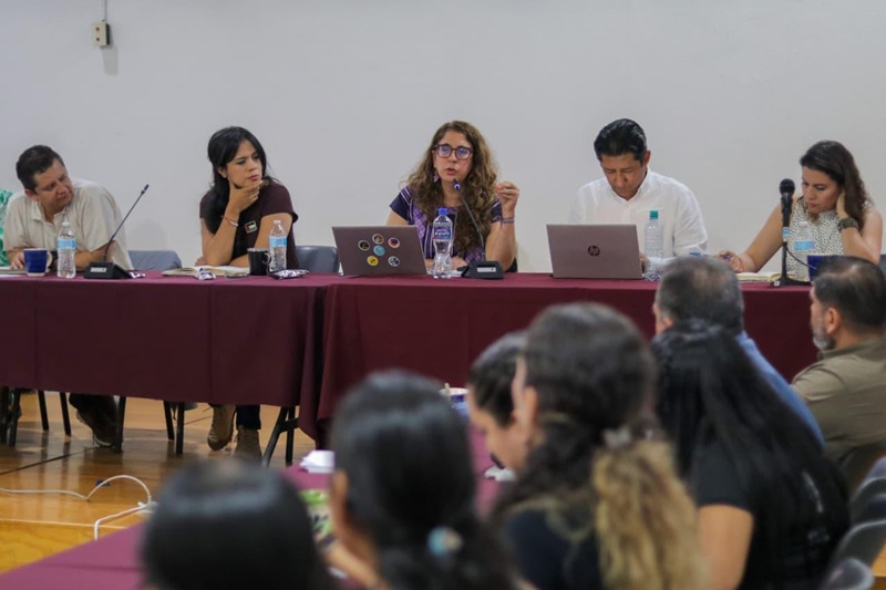 INFANCIAS Y JUVENTUDES, TEMA DE LA SEGUNDA MESA DEL ENCUENTRO “COMUNIDADES ARTÍSTICAS, PATRIMONIO Y MEMORIA” DEL PLAN MICHOACÁN