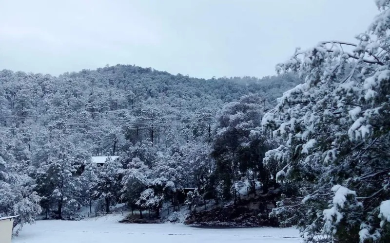 PREVALECE AMBIENTE FRÍO Y PRONÓSTICO DE LLUVIAS PARA ESTE FIN DE SEMANA: CEPC