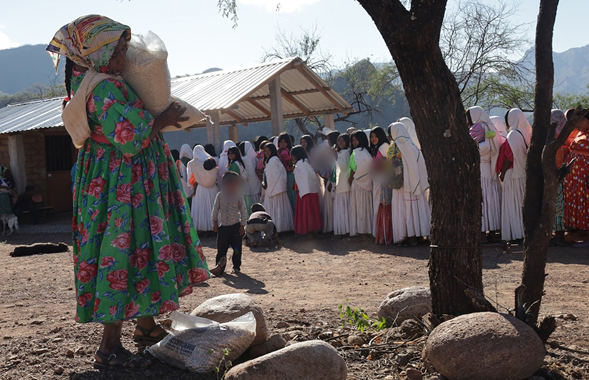 IMPULSA SPYCI AUTOSUFICIENCIA ALIMENTARIA DE COMUNIDADES DE PUEBLOS ORIGINARIOS