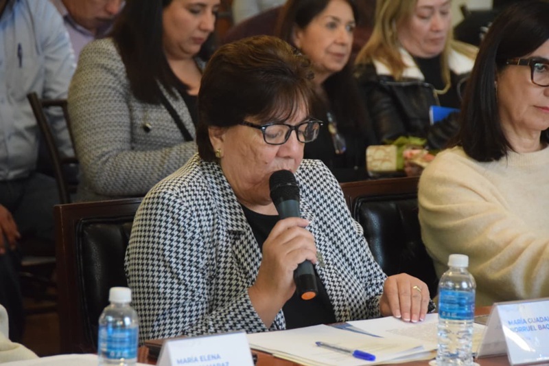 PRESENTA LUPITA BORRUEL INICIATIVA PARA REFORMAR REGLAMENTO DE SERVICIOS PÚBLICOS EN PANTEONES MUNICIPALES