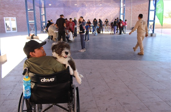 SERVICIOS GRATUITOS PARA PERROS Y GATOS LLEVARÁ MUNICIPIO A RIBERAS DE SACRAMENTO